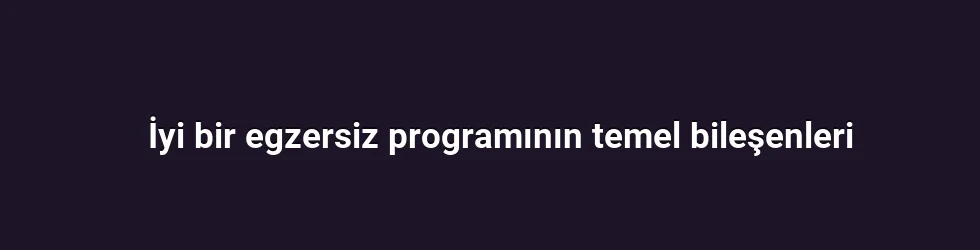 İyi bir egzersiz programının temel bileşenleri