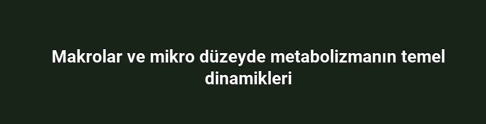 Makrolar ve mikro düzeyde metabolizmanın temel dinamikleri