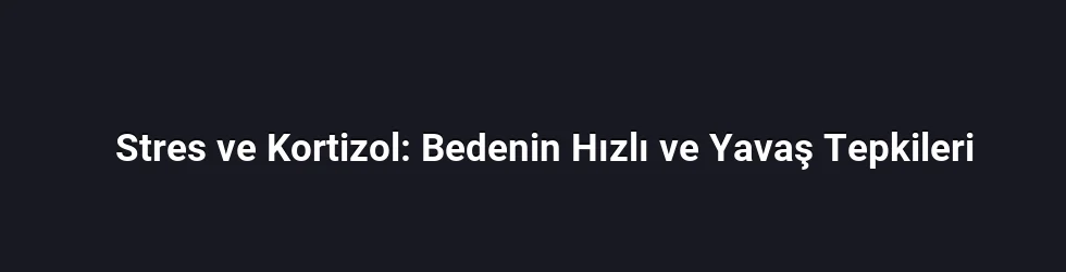 Stres ve Kortizol: Bedenin Hızlı ve Yavaş Tepkileri