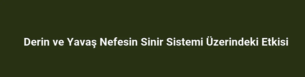 Derin ve Yavaş Nefesin Sinir Sistemi Üzerindeki Etkisi