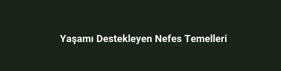 Yaşamı Destekleyen Nefes Temelleri