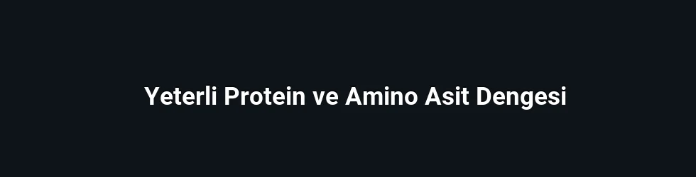 Yeterli Protein ve Amino Asit Dengesi