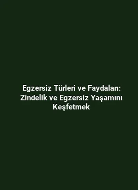 Egzersiz Türleri ve Faydaları: Zindelik ve Egzersiz Yaşamını Keşfetmek
