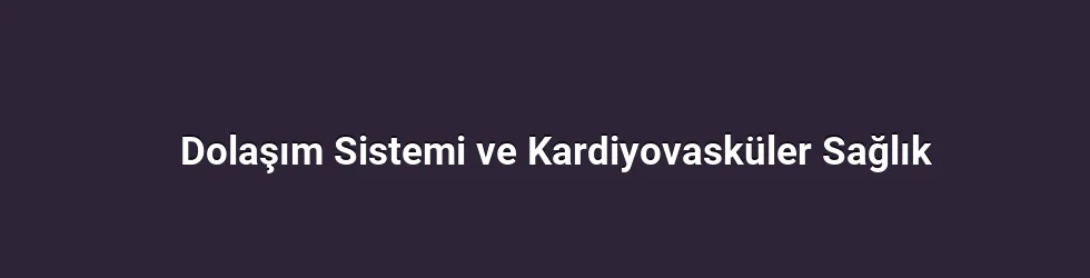 Dolaşım Sistemi ve Kardiyovasküler Sağlık