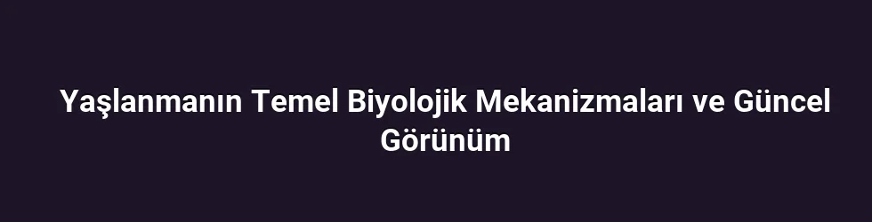 Yaşlanmanın Temel Biyolojik Mekanizmaları ve Güncel Görünüm