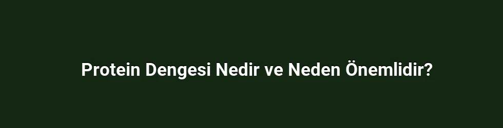 Protein Dengesi Nedir ve Neden Önemlidir?