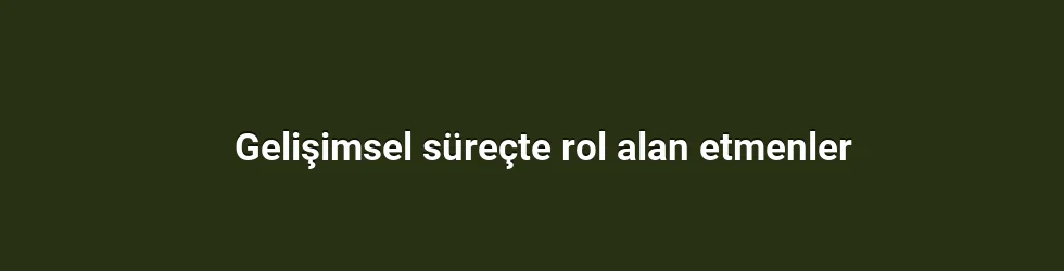 Gelişimsel süreçte rol alan etmenler