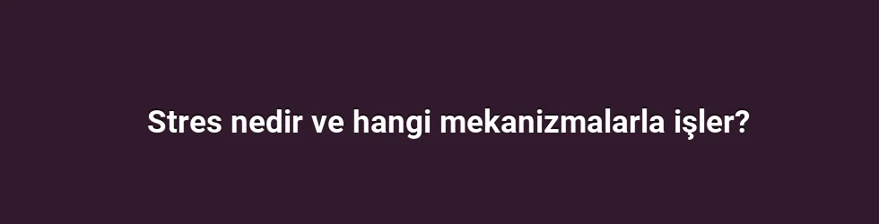 Stres nedir ve hangi mekanizmalarla işler?