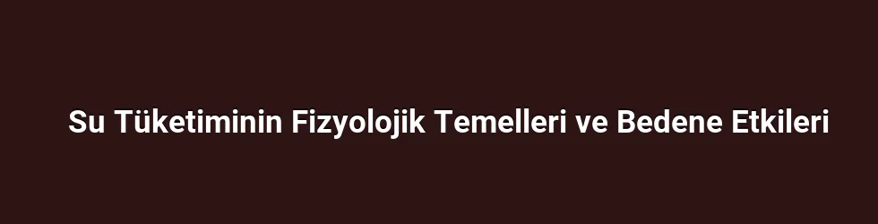 Su Tüketiminin Fizyolojik Temelleri ve Bedene Etkileri