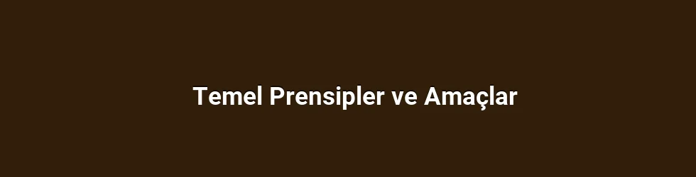 Temel Prensipler ve Amaçlar
