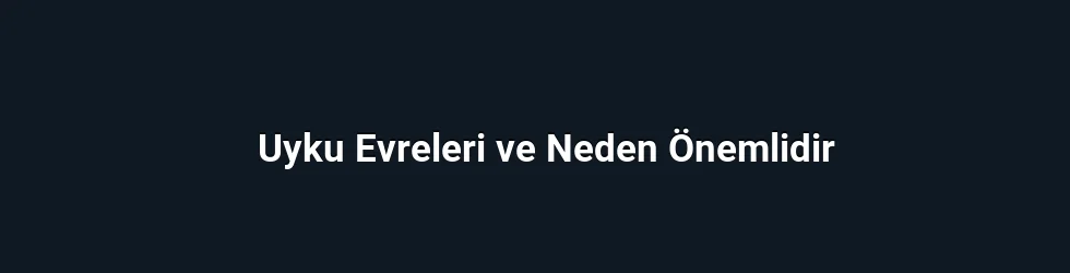 Uyku Evreleri ve Neden Önemlidir