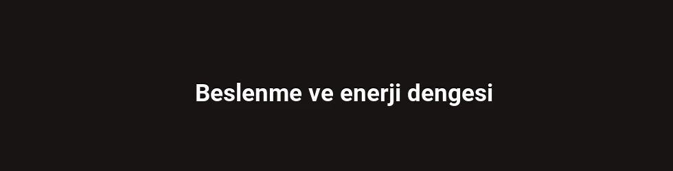 Beslenme ve enerji dengesi