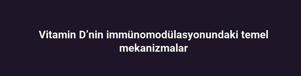 Vitamin D’nin immünomodülasyonundaki temel mekanizmalar