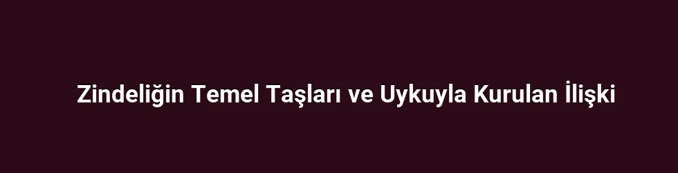 Zindeliğin Temel Taşları ve Uykuyla Kurulan İlişki
