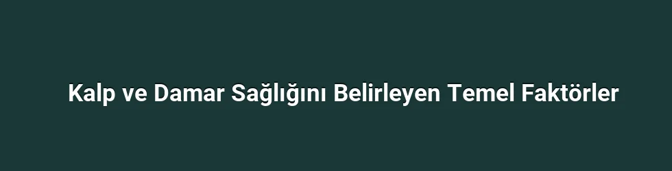 Kalp ve Damar Sağlığını Belirleyen Temel Faktörler