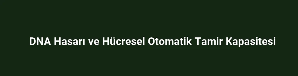 DNA Hasarı ve Hücresel Otomatik Tamir Kapasitesi