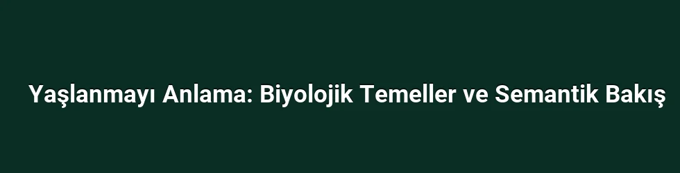 Yaşlanmayı Anlama: Biyolojik Temeller ve Semantik Bakış