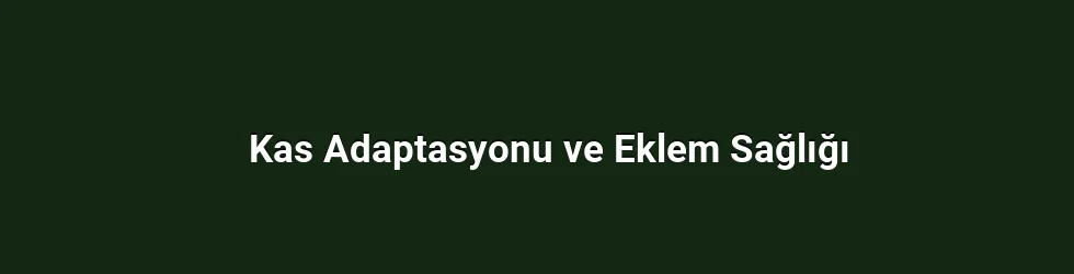 Kas Adaptasyonu ve Eklem Sağlığı