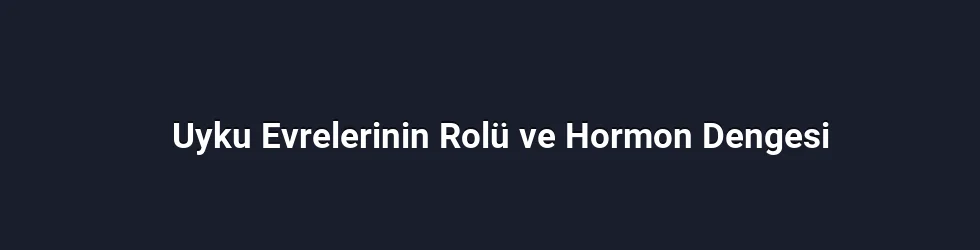 Uyku Evrelerinin Rolü ve Hormon Dengesi