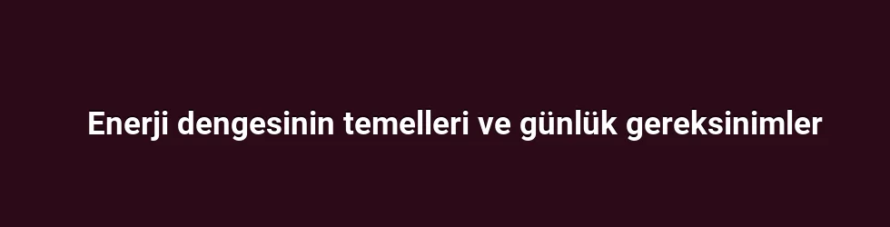 Enerji dengesinin temelleri ve günlük gereksinimler