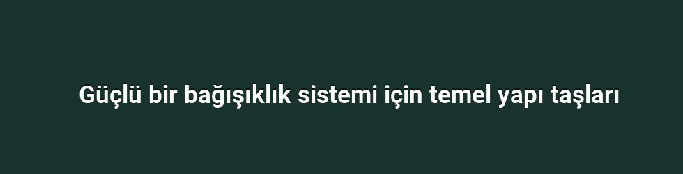Güçlü bir bağışıklık sistemi için temel yapı taşları