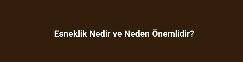Esneklik Nedir ve Neden Önemlidir?