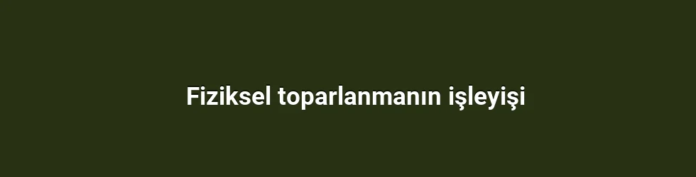 Fiziksel toparlanmanın işleyişi