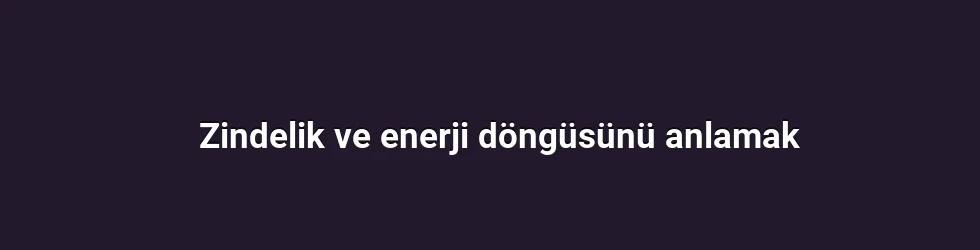 Zindelik ve enerji döngüsünü anlamak