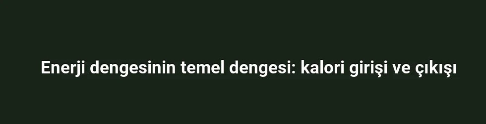 Enerji dengesinin temel dengesi: kalori girişi ve çıkışı
