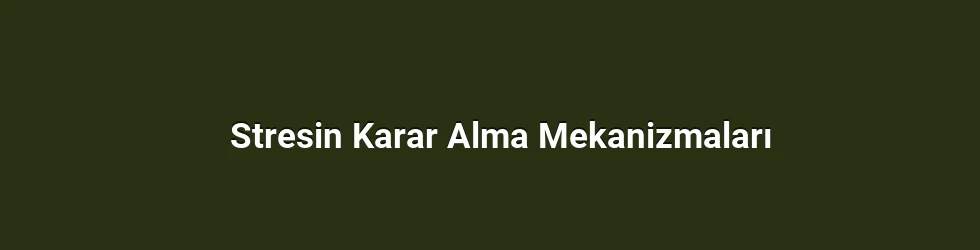 Stresin Karar Alma Mekanizmaları