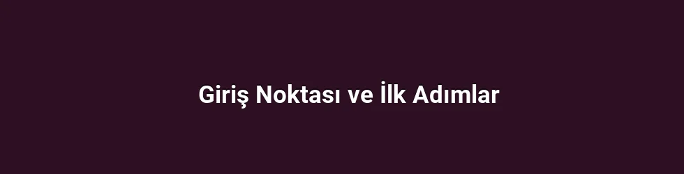 Giriş Noktası ve İlk Adımlar
