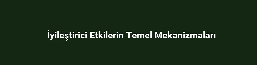 İyileştirici Etkilerin Temel Mekanizmaları