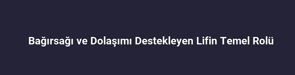 Bağırsağı ve Dolaşımı Destekleyen Lifin Temel Rolü