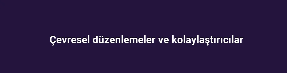 Çevresel düzenlemeler ve kolaylaştırıcılar