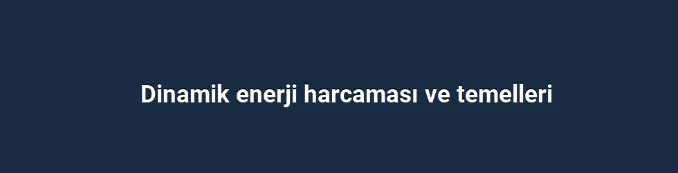 Dinamik enerji harcaması ve temelleri