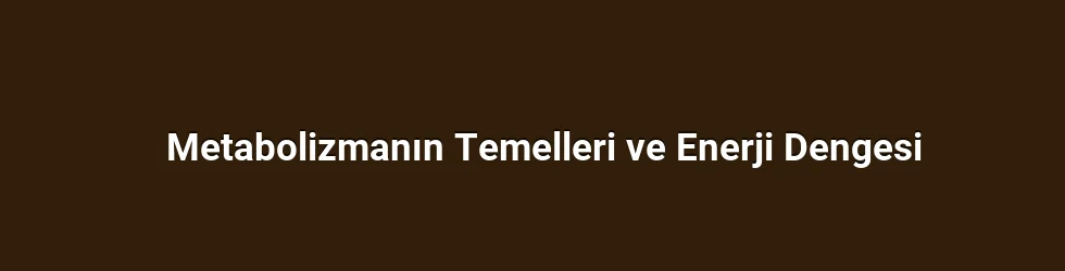 Metabolizmanın Temelleri ve Enerji Dengesi