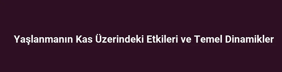 Yaşlanmanın Kas Üzerindeki Etkileri ve Temel Dinamikler