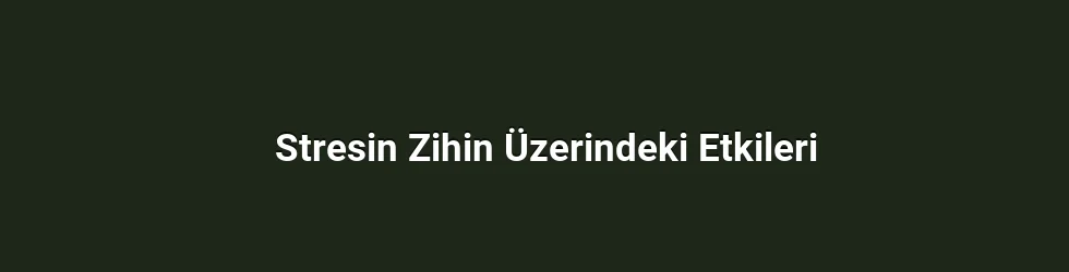 Stresin Zihin Üzerindeki Etkileri