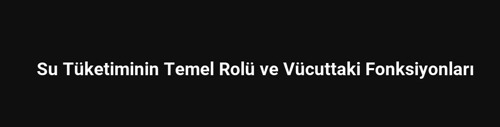 Su Tüketiminin Temel Rolü ve Vücuttaki Fonksiyonları