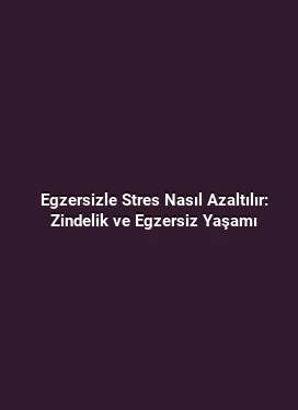 Egzersizle Stres Nasıl Azaltılır: Zindelik ve Egzersiz Yaşamı