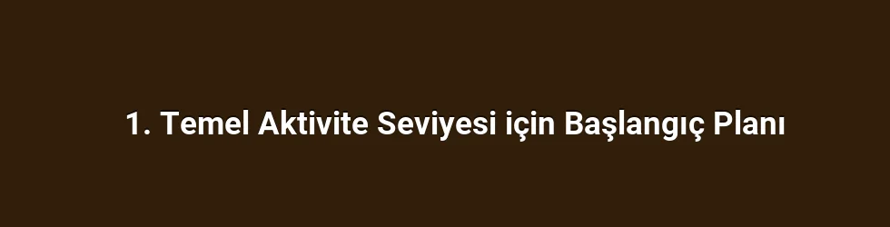 1. Temel Aktivite Seviyesi için Başlangıç Planı
