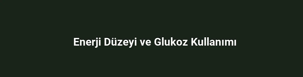 Enerji Düzeyi ve Glukoz Kullanımı