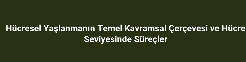 Hücresel Yaşlanmanın Temel Kavramsal Çerçevesi ve Hücre Seviyesinde Süreçler